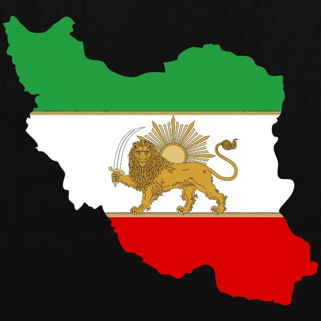 gandomi212's tweet photo. @AzarIranli جاوید شاه 
#KingRezaPahlavi https://t.co/kMeBVWlH7T