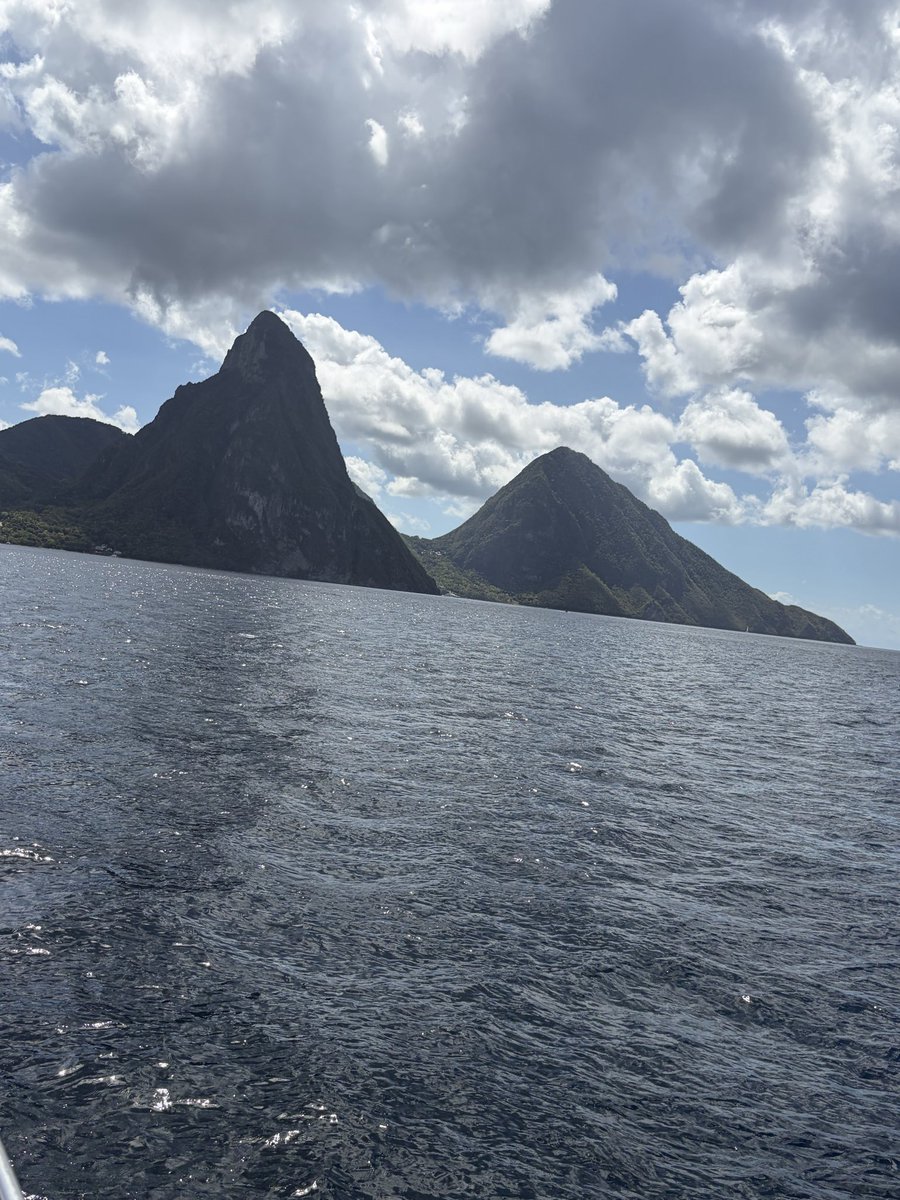 Derek D. tweet media