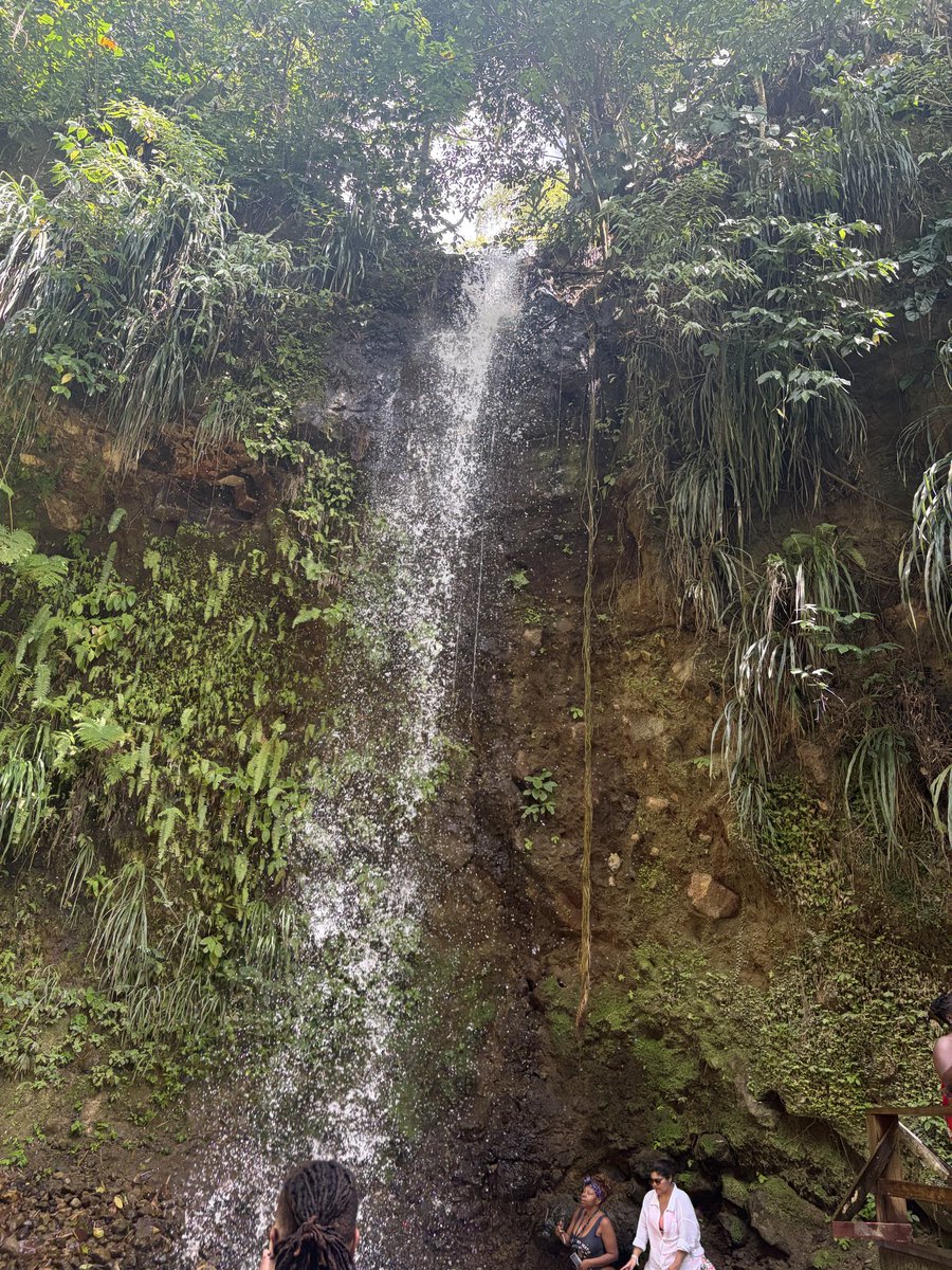 Derek D. tweet media