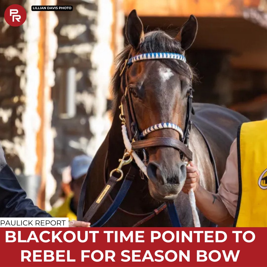 Paulick Report tweet media