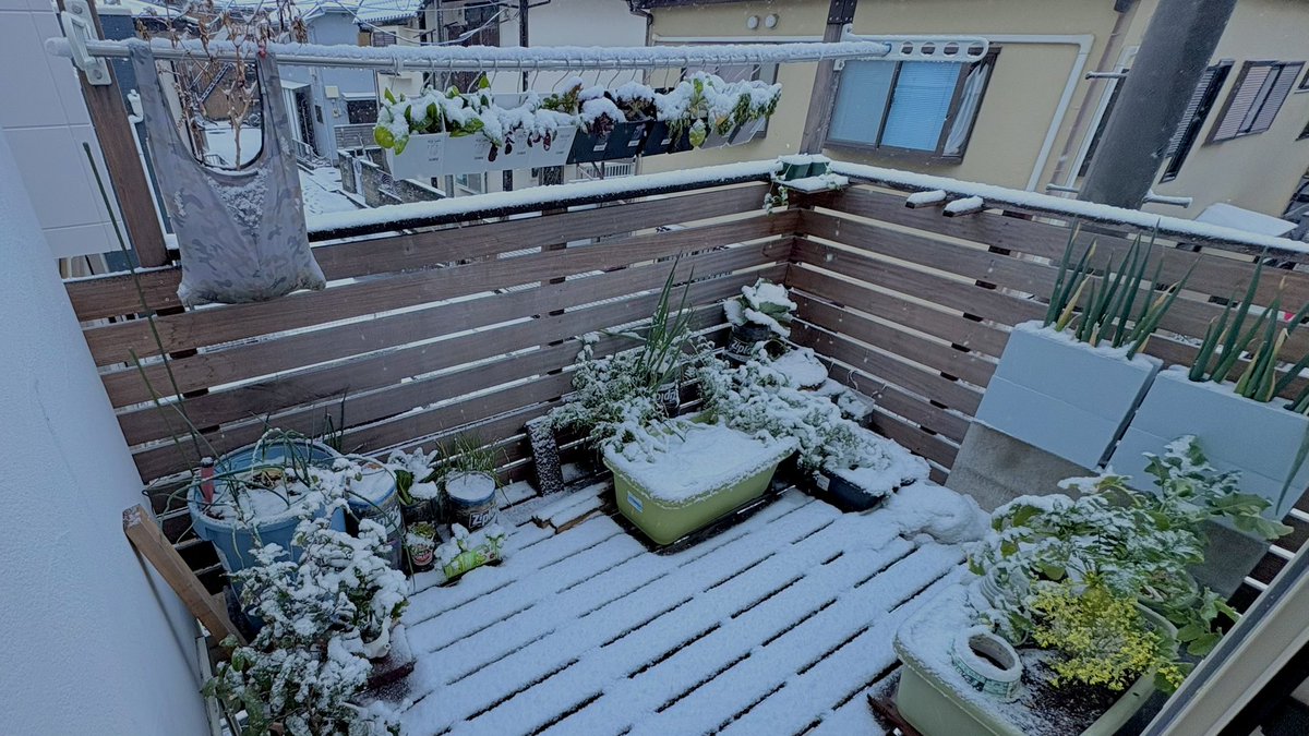 ぽたろうの家庭菜園HACK (@HACK1136) / Posts / X