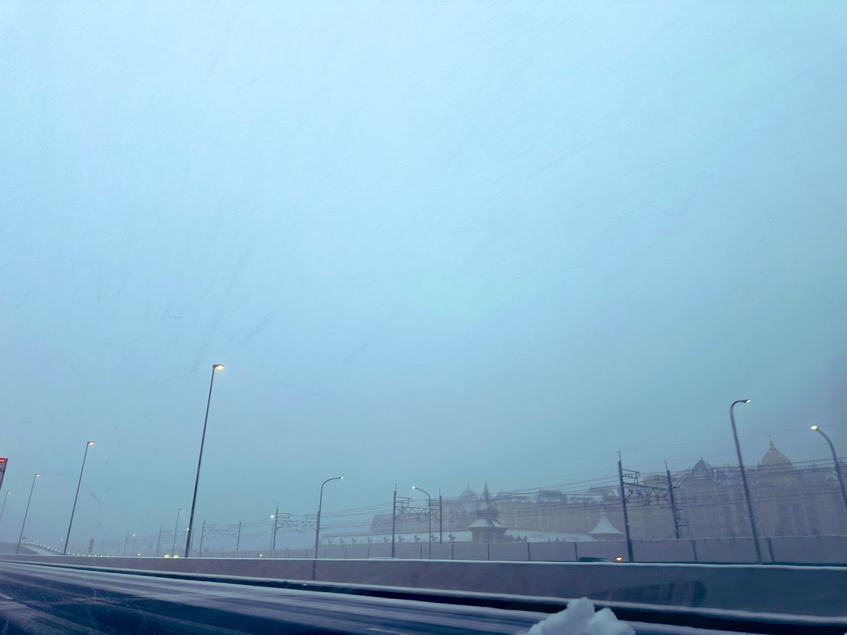 ディズニーランドないない