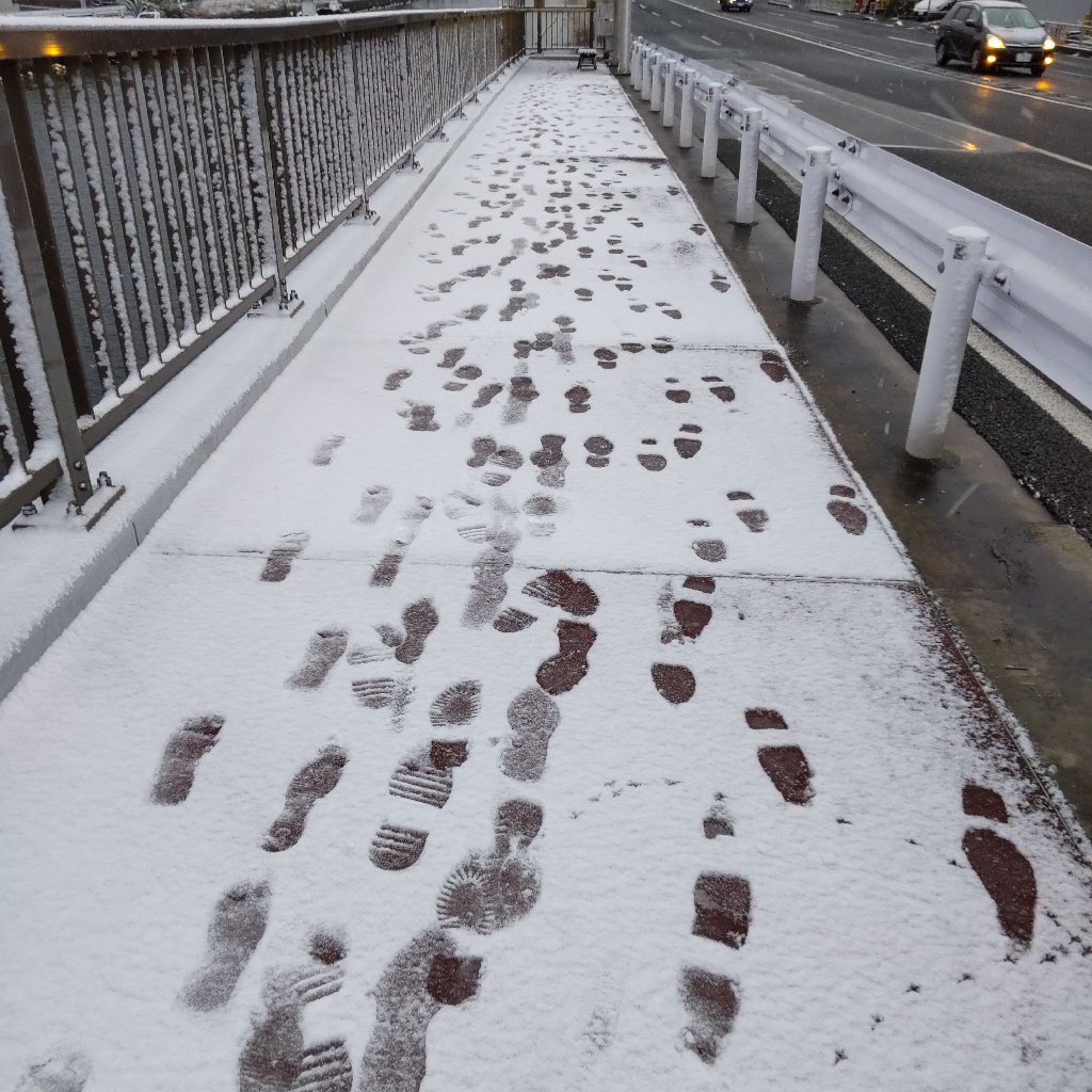 ファッキンスノゥ