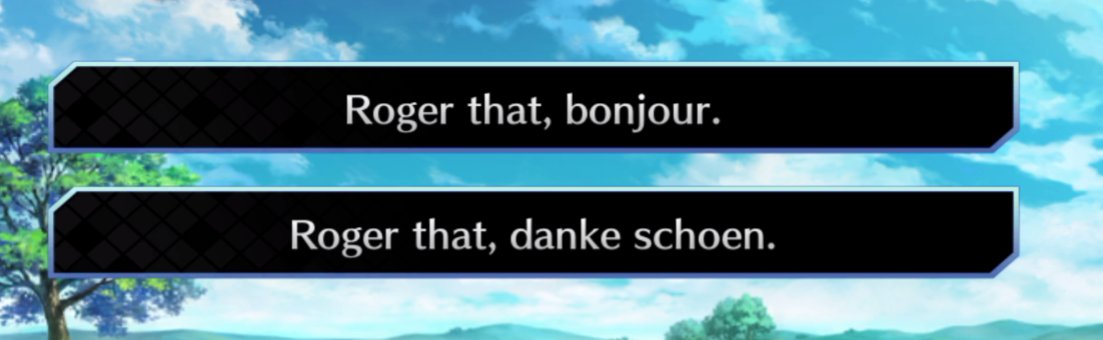 WE ARE IN FRANCE, WHAT DO YOU MEAN DANKE SCHOEN