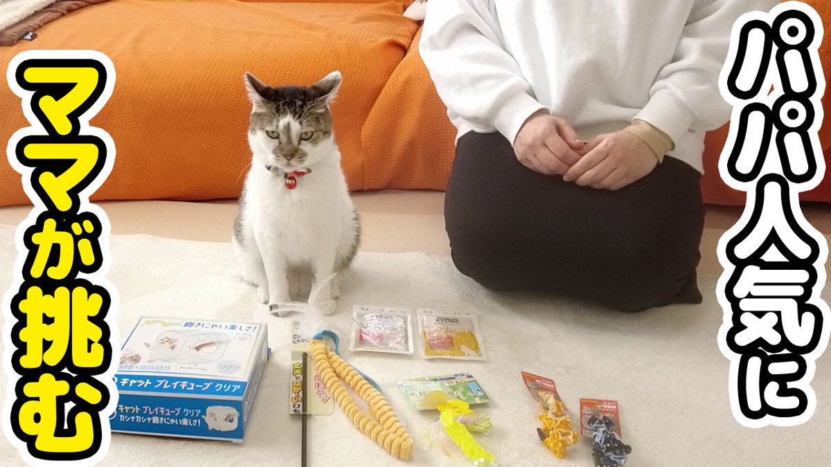 ネコママさま♥️専用 動画を投稿しました🤗 最近パパが人気過ぎるのでママが本気を出しま