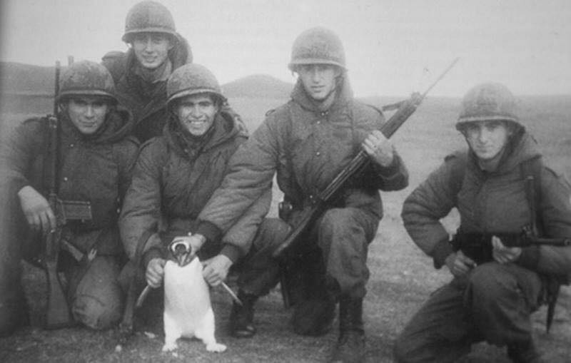 ticlassics's tweet image. Argentine soldiers with a captured penguin, Falklands War, 1982.