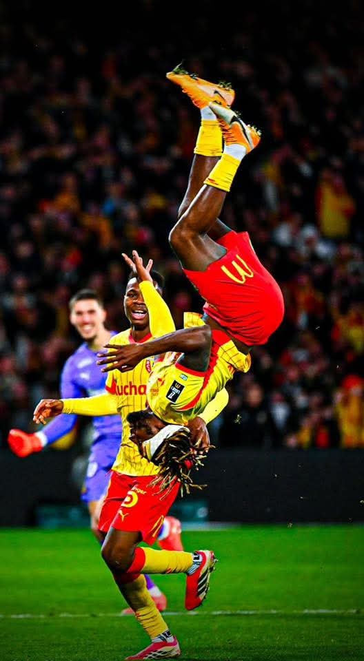 yoangellf's tweet photo. Il ne manquait que lui pour espérer aller chercher le titre ...
C'est l'année du doublé coupe / championnat. 😛 https://t.co/GKtBXfuCUB