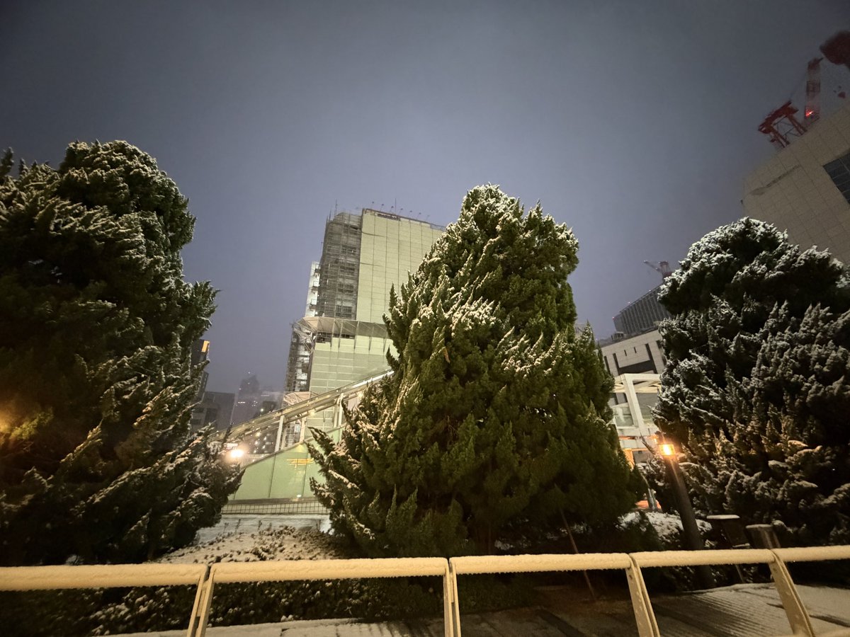 雪だぁーーーーーーーー