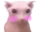 아니 너무 좋네…