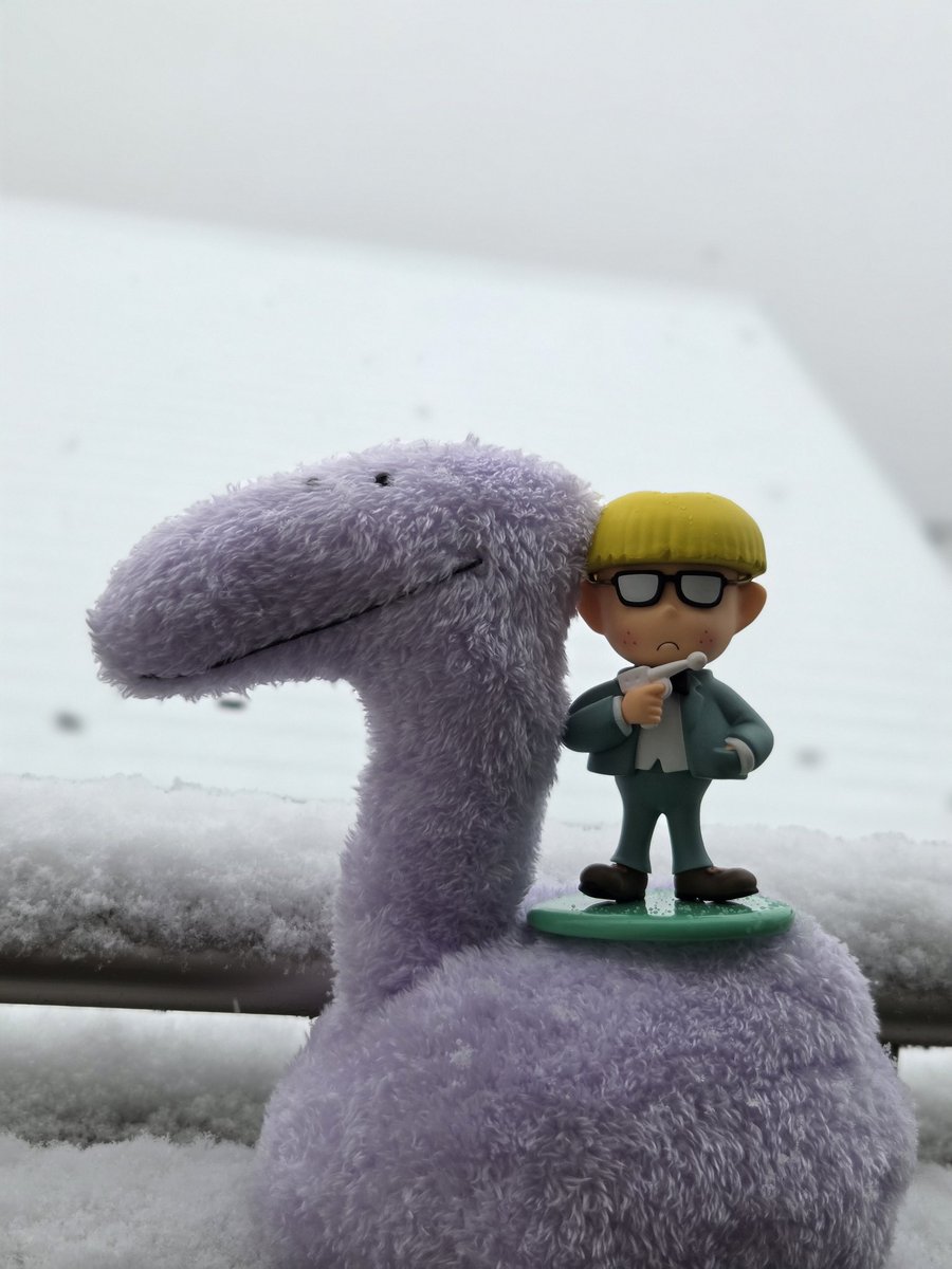 関東南部でも雪！