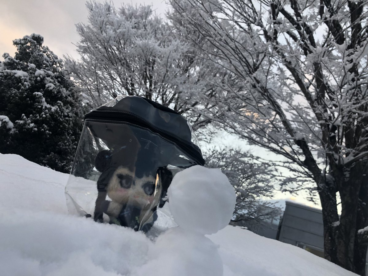 門主様と雪遊びしてきました⛄️