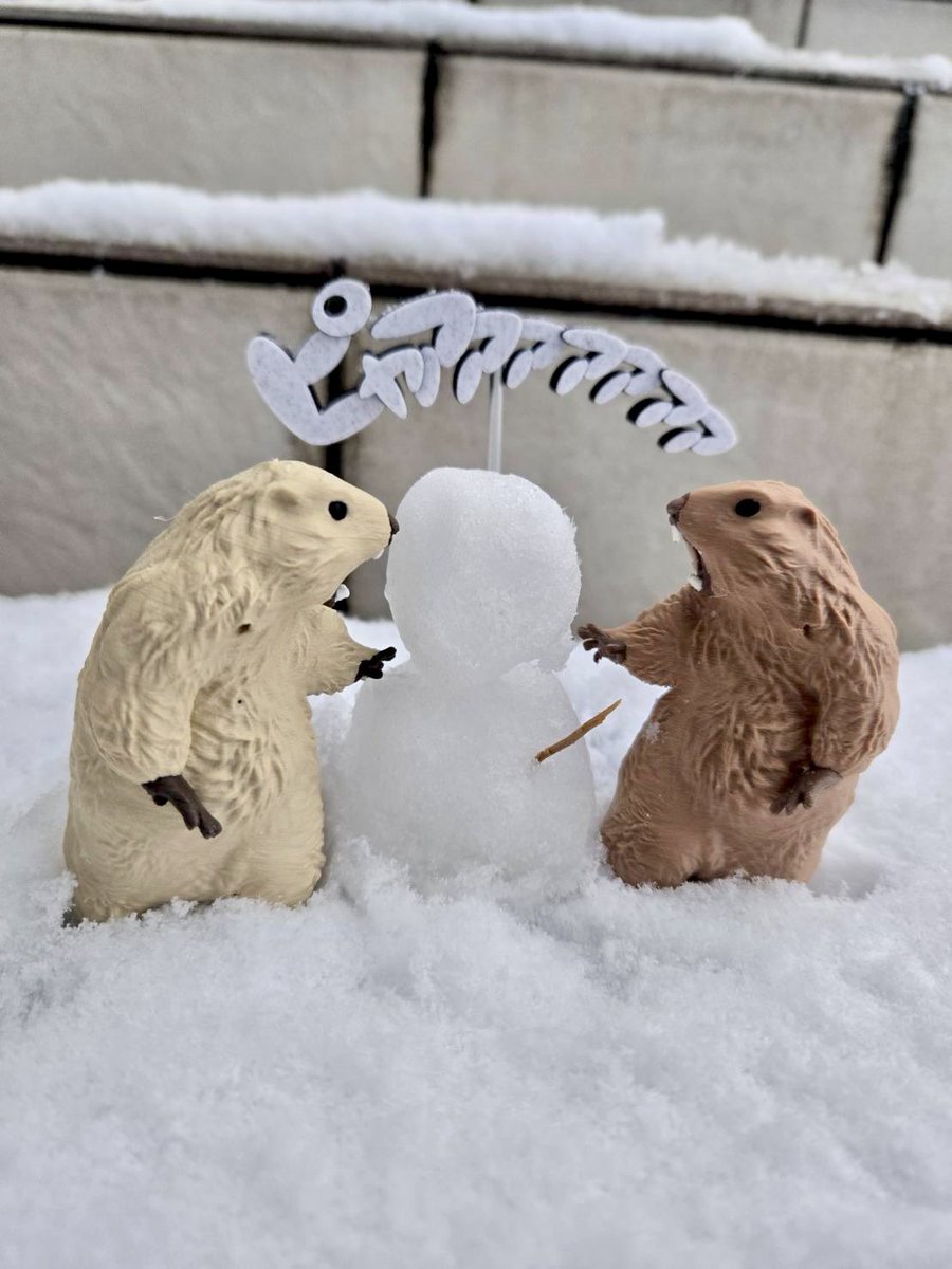 Insomnia3D WF 6-18-07 (@ST_Insomnia) / Posts / X