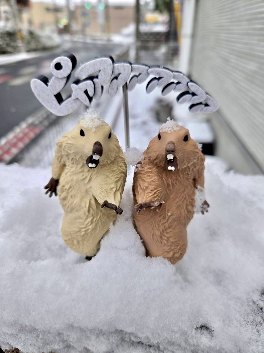 Insomnia3D WF 6-18-07 (@ST_Insomnia) / Posts / X