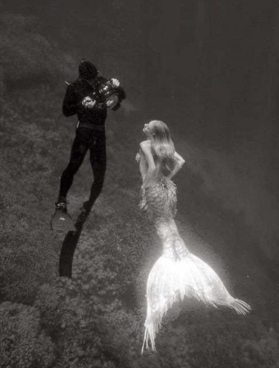 🧜‍♀️ tweet media