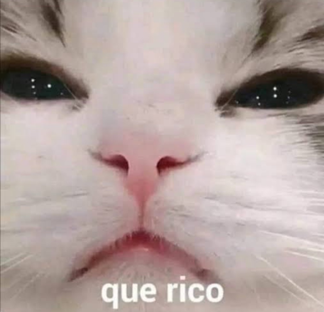 Yo viendo el tiktok de alguna sra mexicana haciendo recetas de  comidas economicas para la semana