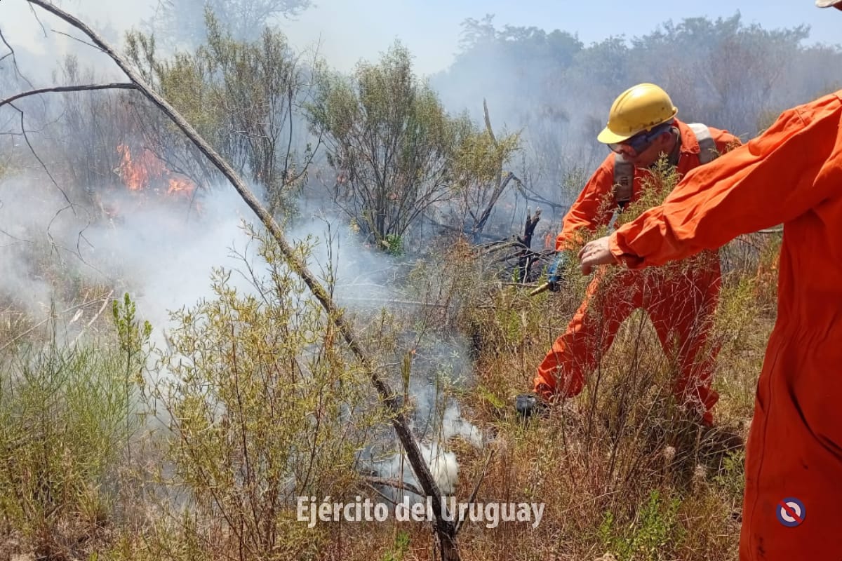 EjercitoUy's tweet image. Este mediodía, se activó la Sección de Apoyo a Emergencias del Batallón de Infantería Mecanizado N°8, debido a un #incendio que se propagó a 12 km de la ciudad de #Paysandú, al Este de Ruta 3.

Aproximadamente 20 efectivos trabajaron en apoyo a Bomberos, y en coordinación con (+)
