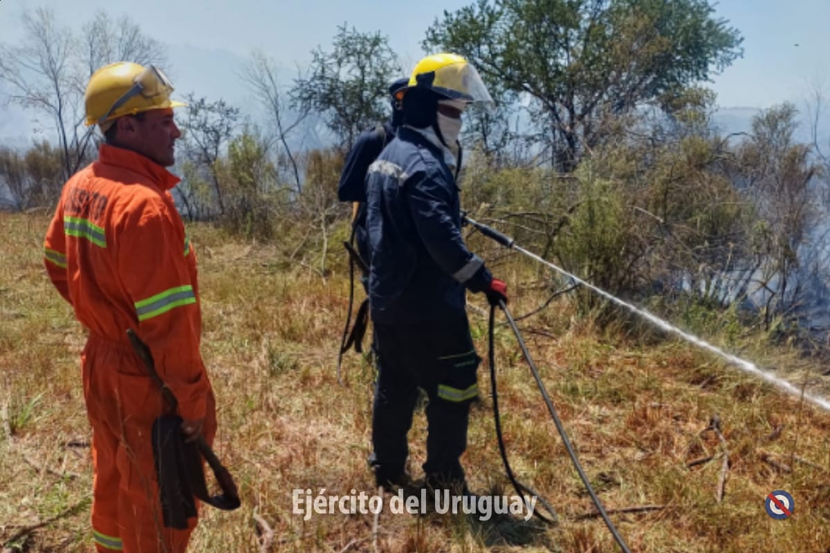 EjercitoUy's tweet image. Este mediodía, se activó la Sección de Apoyo a Emergencias del Batallón de Infantería Mecanizado N°8, debido a un #incendio que se propagó a 12 km de la ciudad de #Paysandú, al Este de Ruta 3.

Aproximadamente 20 efectivos trabajaron en apoyo a Bomberos, y en coordinación con (+)