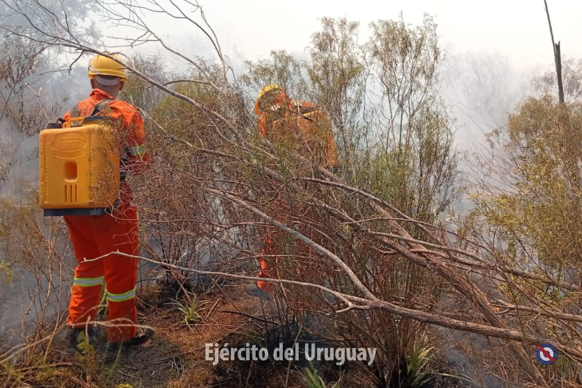 EjercitoUy's tweet image. Este mediodía, se activó la Sección de Apoyo a Emergencias del Batallón de Infantería Mecanizado N°8, debido a un #incendio que se propagó a 12 km de la ciudad de #Paysandú, al Este de Ruta 3.

Aproximadamente 20 efectivos trabajaron en apoyo a Bomberos, y en coordinación con (+)