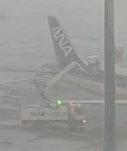 羽田空港ってデアイシングカー何台あるんかな
