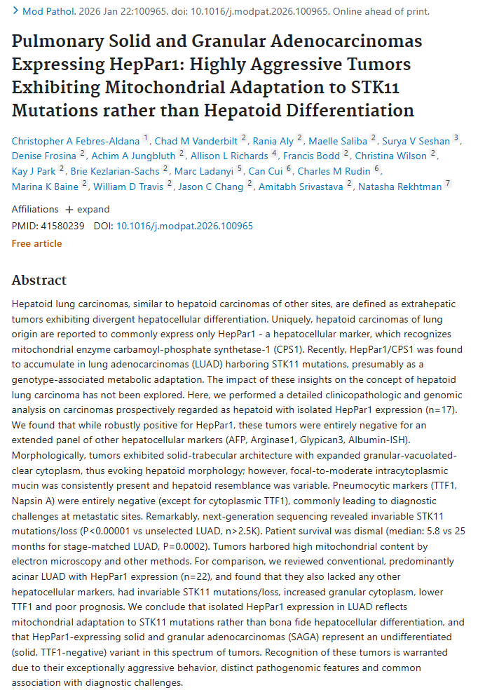 Natasha Rekhtman MD PhD tweet media