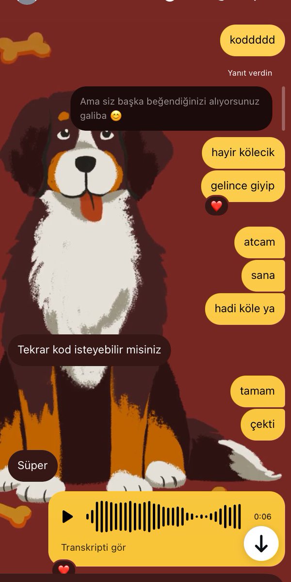 simge374561's tweet photo. Alışveriş köleliğini başarıyla yerine getirdi tasmalı köpek 🐕🐆🐩🦮🐕‍🦺🦴 #finansalköle #finansaldestek https://t.co/5z4xHBmTaL