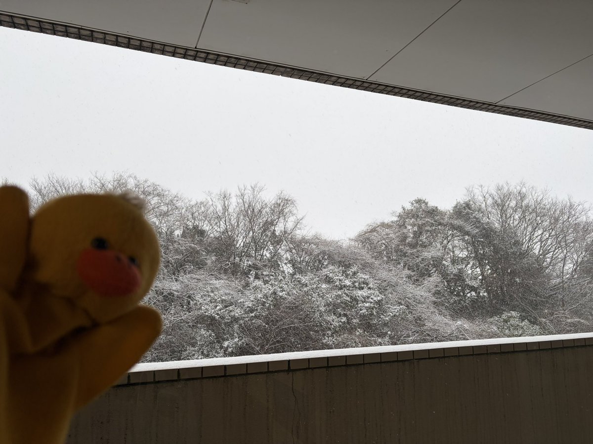 船橋　金杉（ｶﾅｽｷﾞ）は
　
金し杉るほど　殺風景⛄️ 🐥
　
#トリンドルの小旅行  🏥