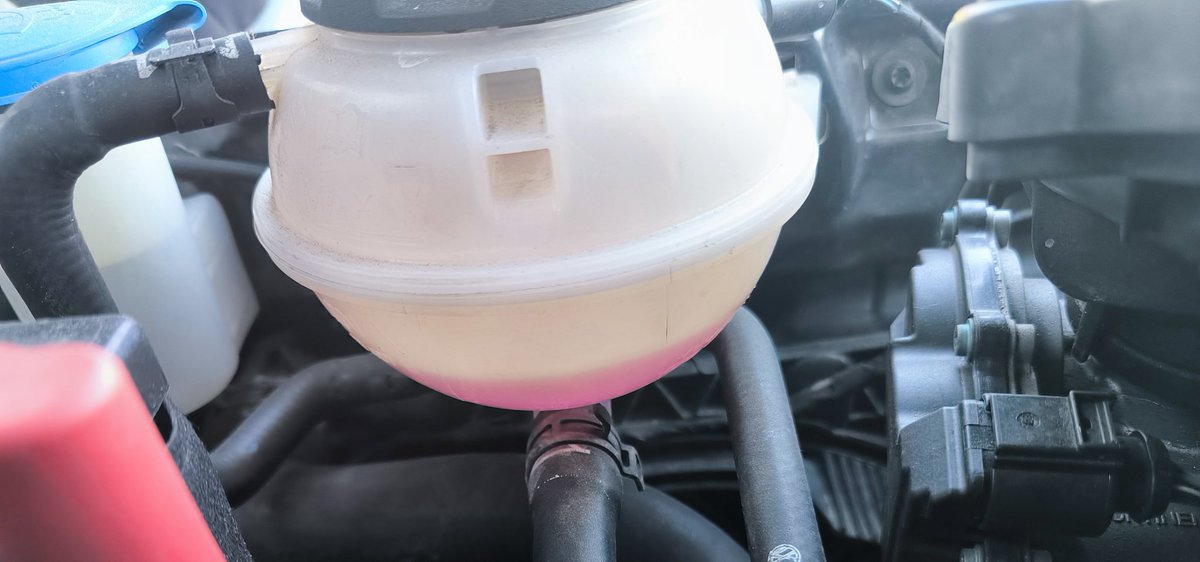 Fernando tweet media