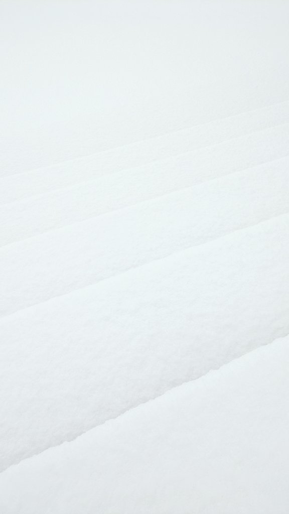 積雪20cm超えてる❄☃️❄