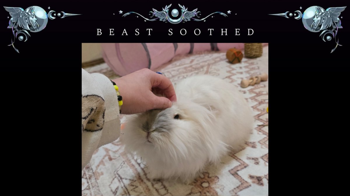 knife-wielding rabbit tweet media