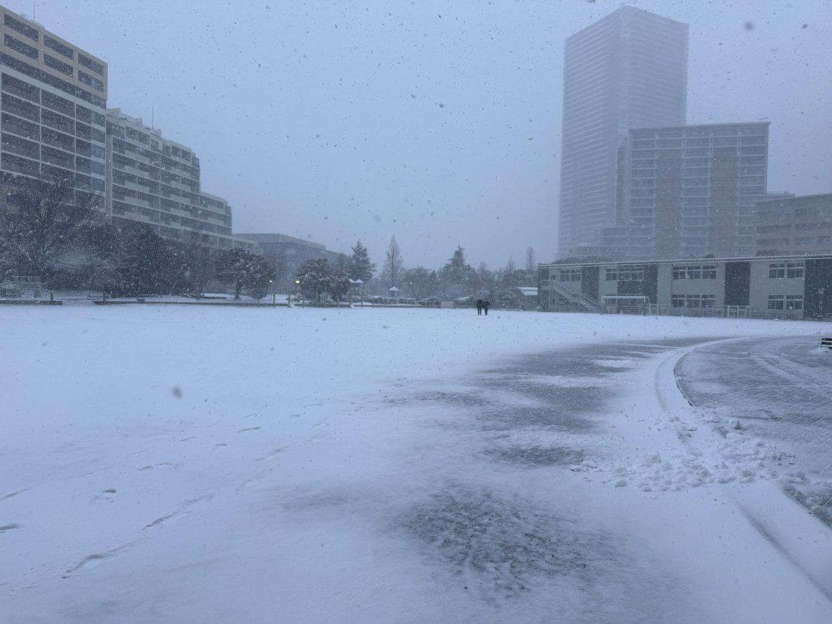 Inui Teruhisa tweet media