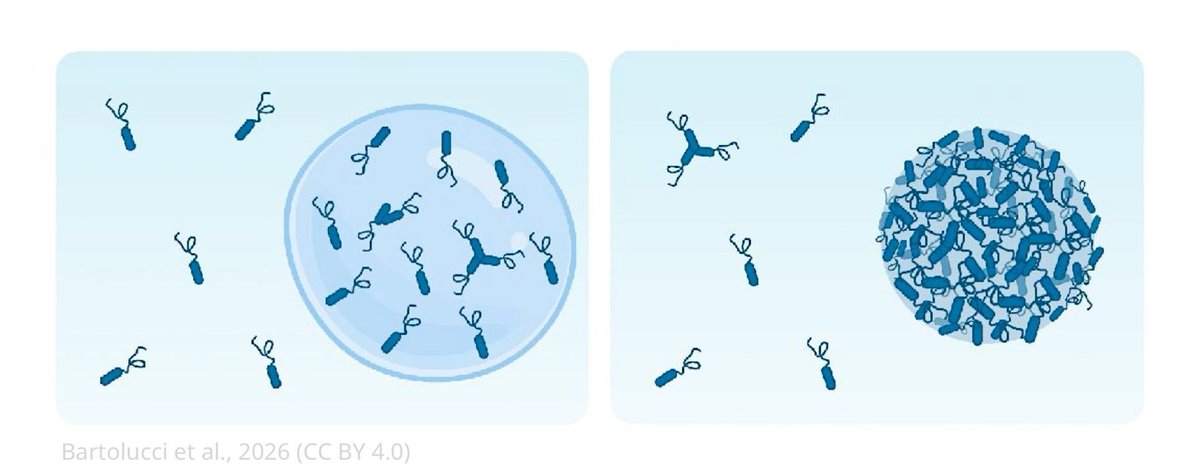 eLife - the journal tweet media