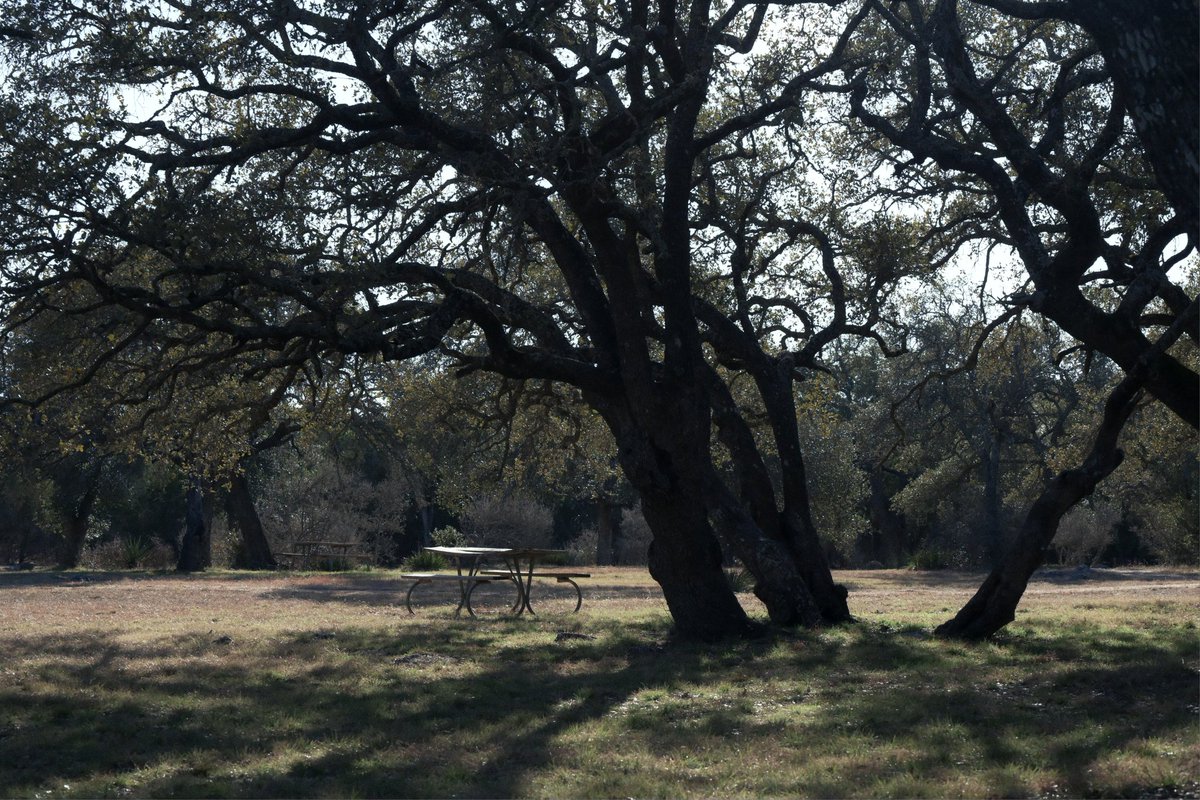 luis (@luiscencias) on Twitter photo 