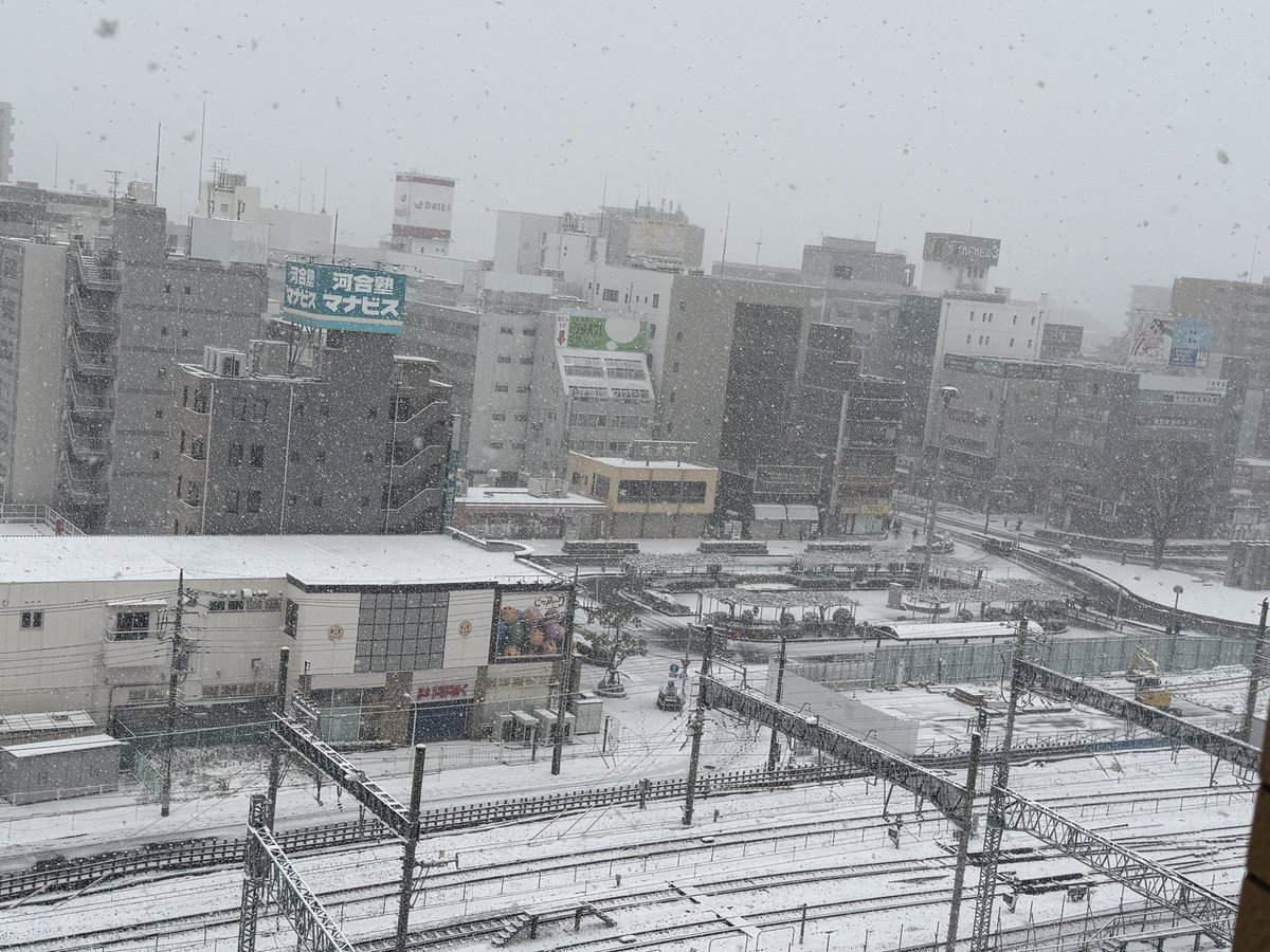 これは積もるね