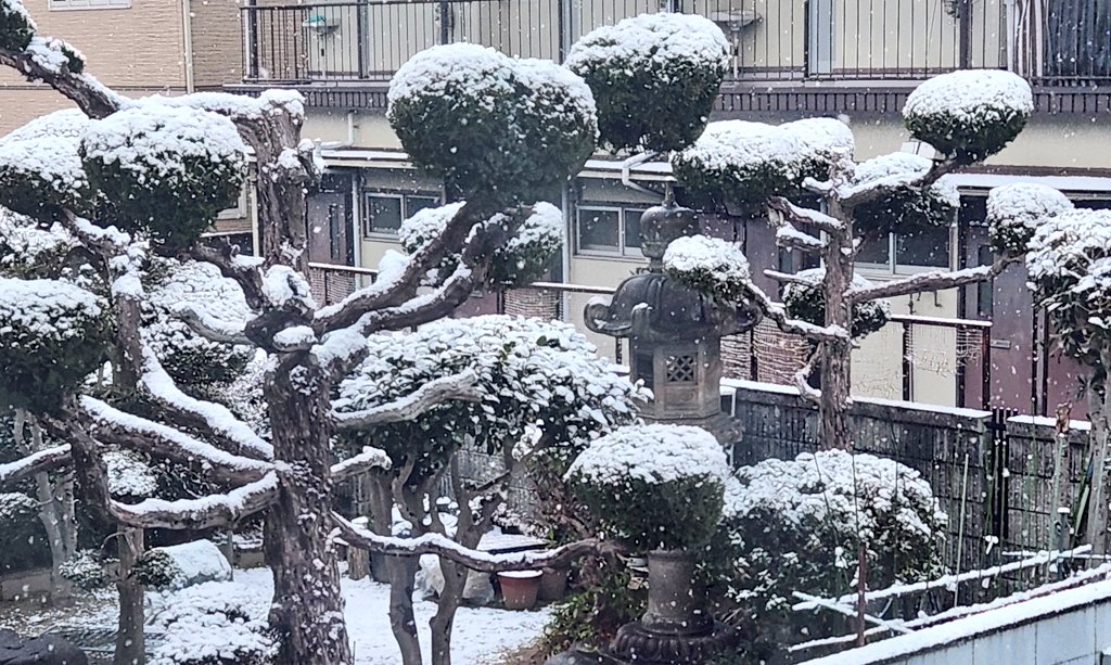 ゆき！ふてる！ちょとつもてる！