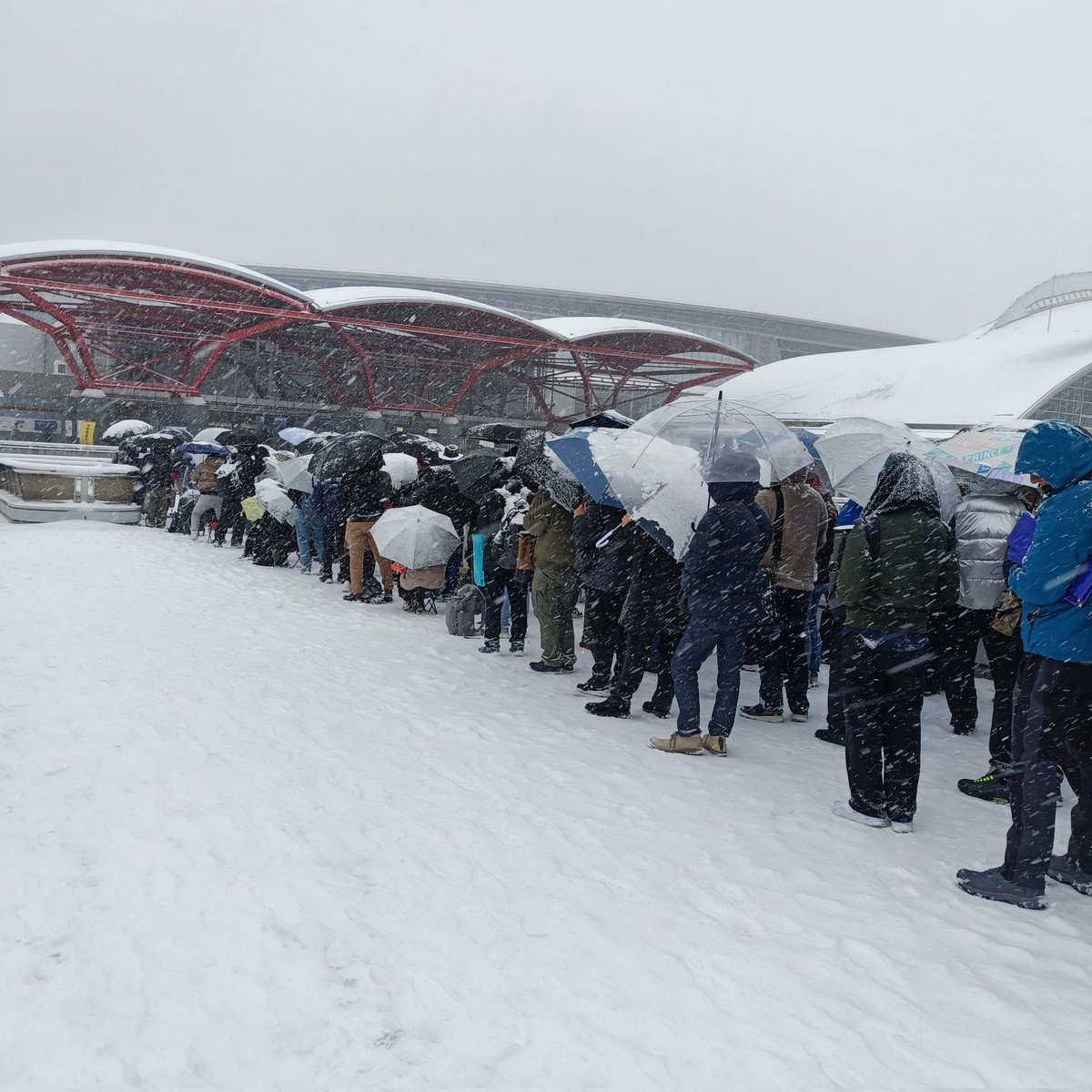 わりと久しぶりに一般チケット（A）でWF入場なんだけど、もしかしてこのまま雪の中並び続けるの？
雪だるまになってしまう((((；ﾟДﾟ))))ｶﾞｸｶﾞｸﾌﾞﾙﾌﾞﾙ