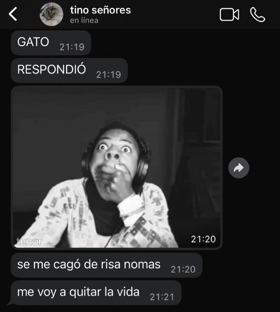 la ultima siesta (@laultimasiesta) on Twitter photo 