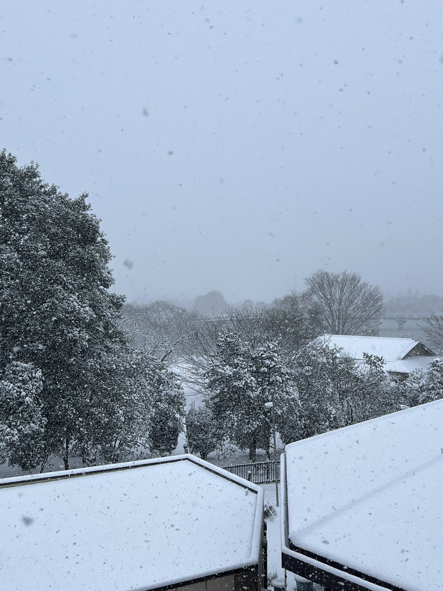 ardenne_ft's tweet photo. 雪すごいですね☃️
足元気をつけて、あたたかくしてお過ごしくださいね。 https://t.co/k7wPI5hJYB