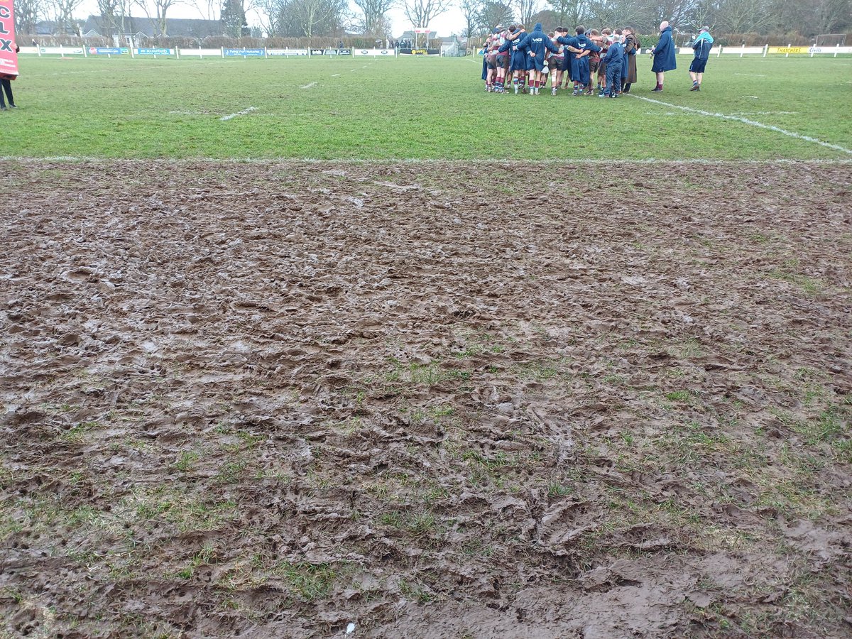 Alan Truscott tweet media