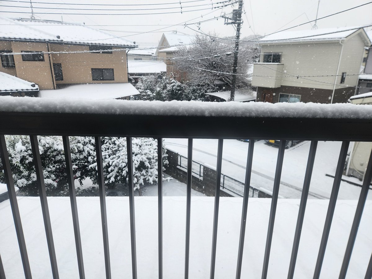 おはようございます(*ｐω-)｡O゜
起きたら結構積もってて目が覚めた💦