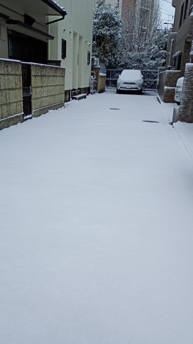 yasu_280's tweet photo. 都内、❄雪が積もったね😁 https://t.co/CmyzUOuIuN