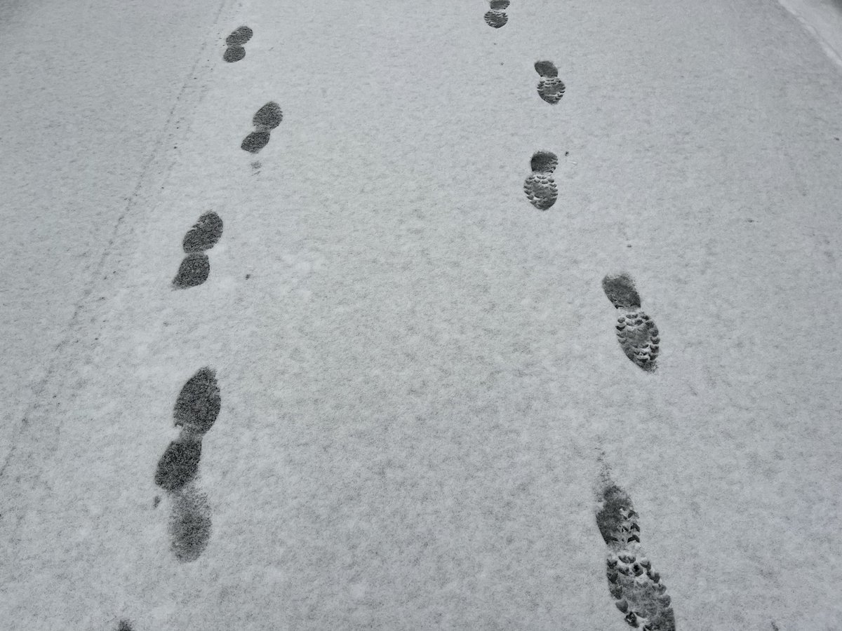 0comoco's tweet image. ということで投票完了。

朝早く&amp;amp;寒い中、投票所の皆さまありがとうございます⛄️

#さいたま市