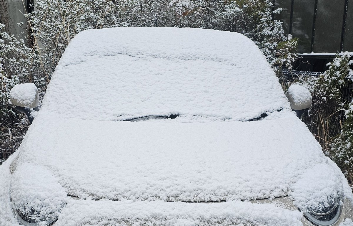 雪降ってるなう🐸❄ #ゆきちゃん
