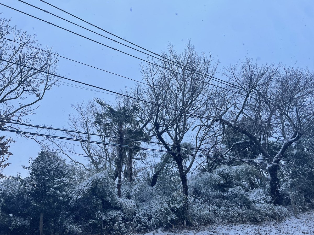 バイク日和ですね