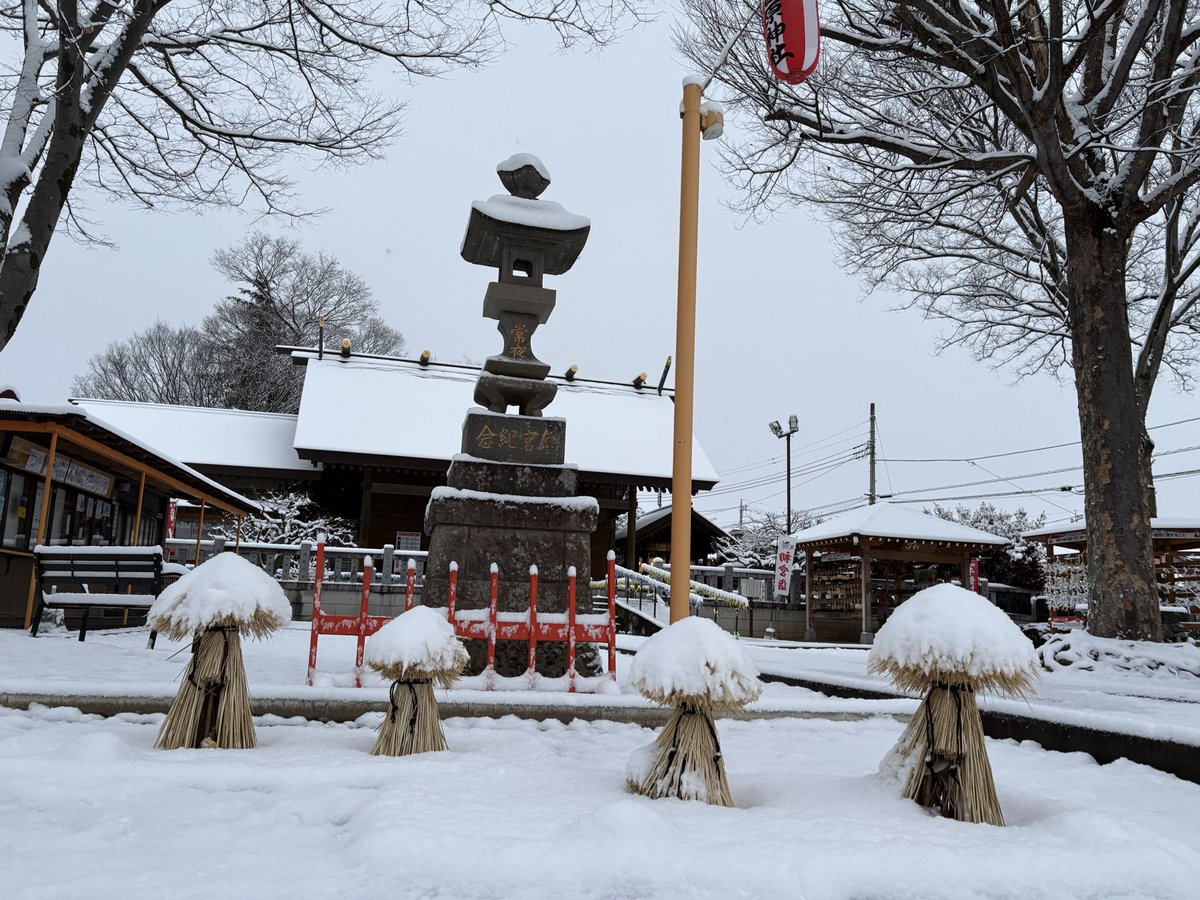 tenjin_main_jp's tweet photo. 梅の花に雪が積もりました☃️ https://t.co/nIcsaaalf3