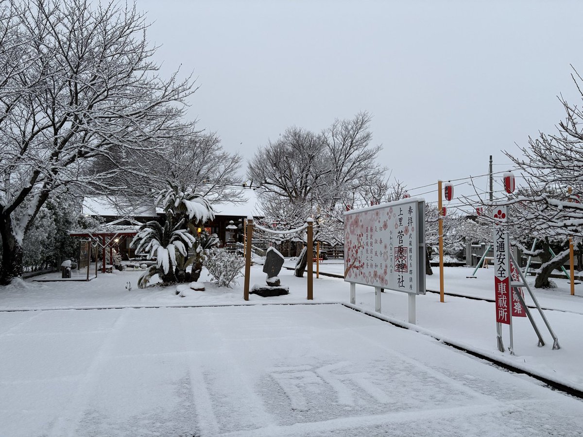 tenjin_main_jp's tweet photo. 梅の花に雪が積もりました☃️ https://t.co/nIcsaaalf3