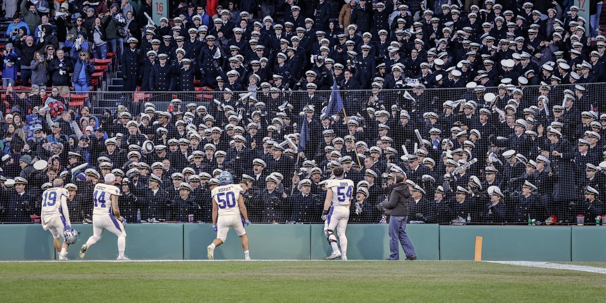 Harry Passante tweet media