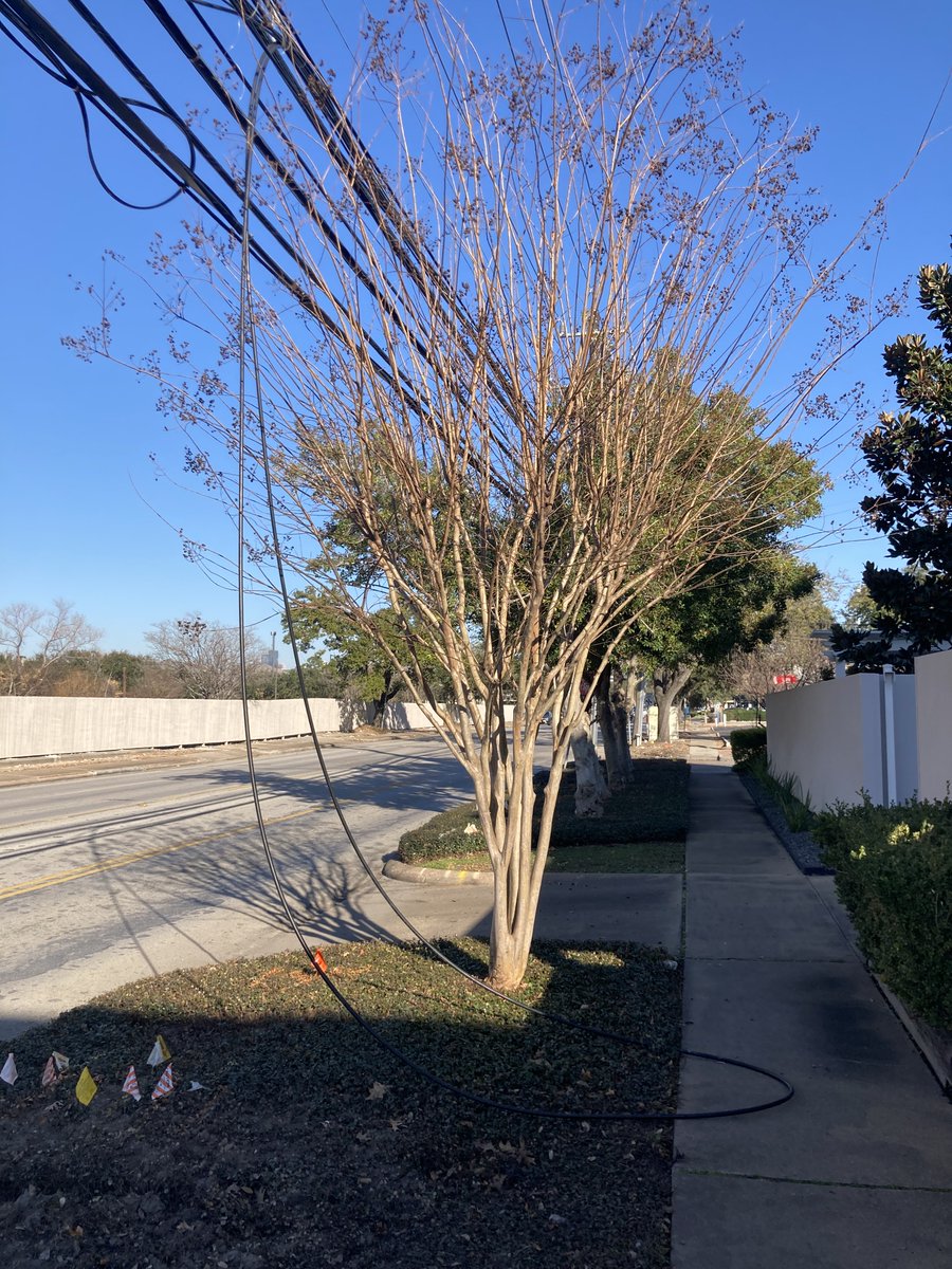 F. Versace Lab tweet media