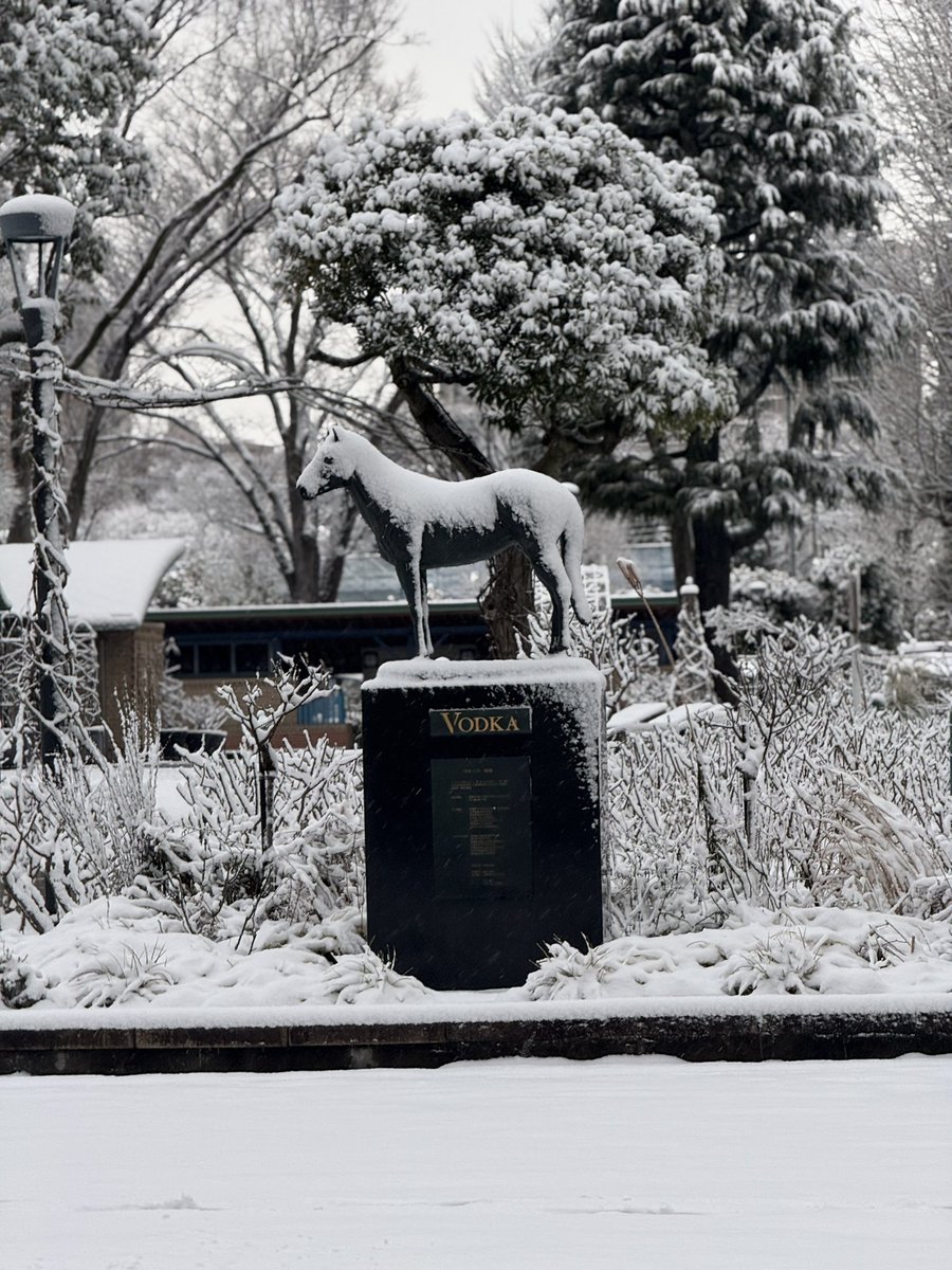 久美ね～☆ tweet media