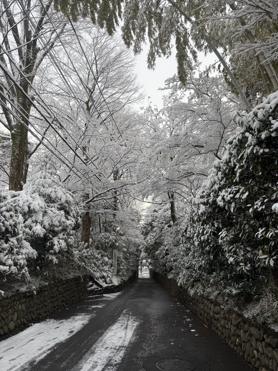 久美ね～☆ tweet media