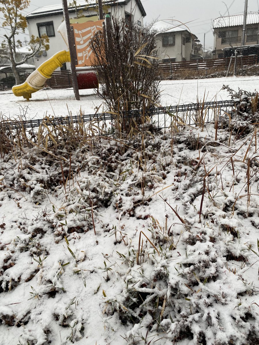 FFRKdragon5's tweet image. あらら